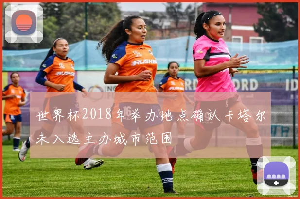 世界杯2018年举办地点确认卡塔尔未入选主办城市范围