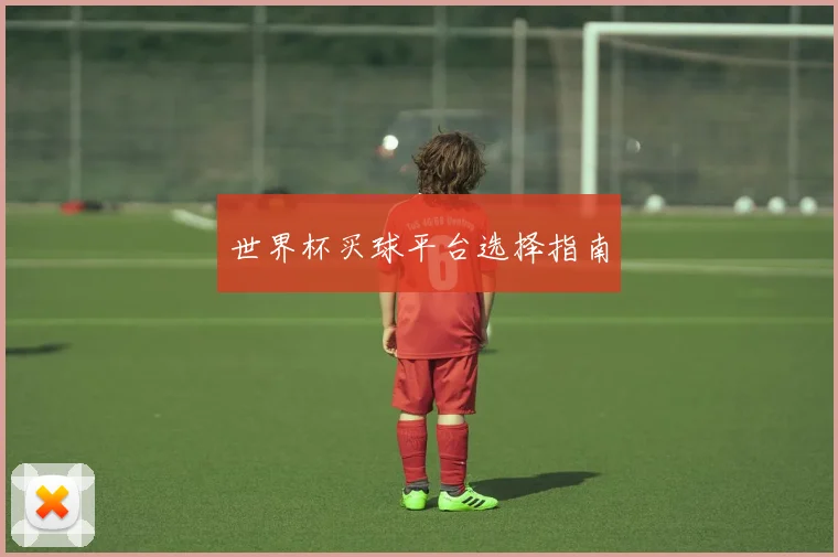 世界杯买球平台选择指南