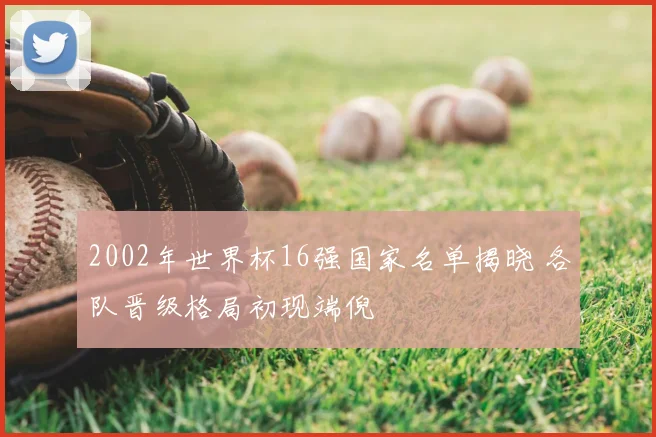 2002年世界杯16强国家名单揭晓 各队晋级格局初现端倪