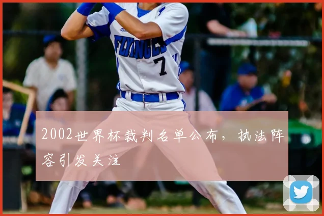 2002世界杯裁判名单公布，执法阵容引发关注